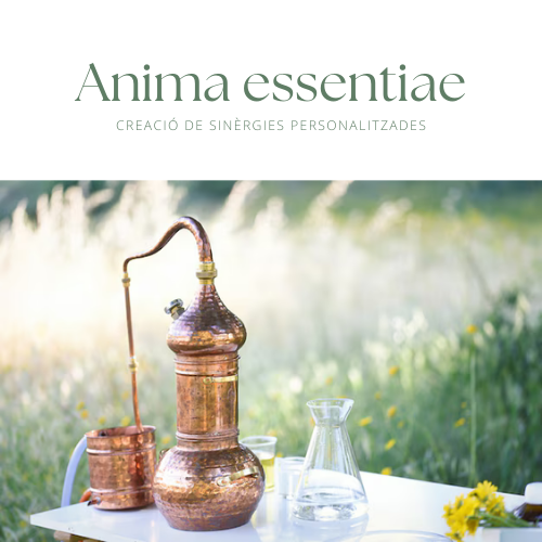Anima essentiae